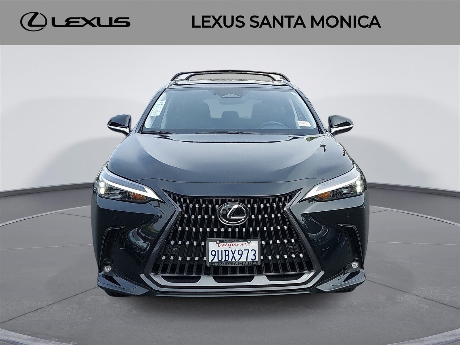 2025 Lexus NX Hybrid 350h's photo