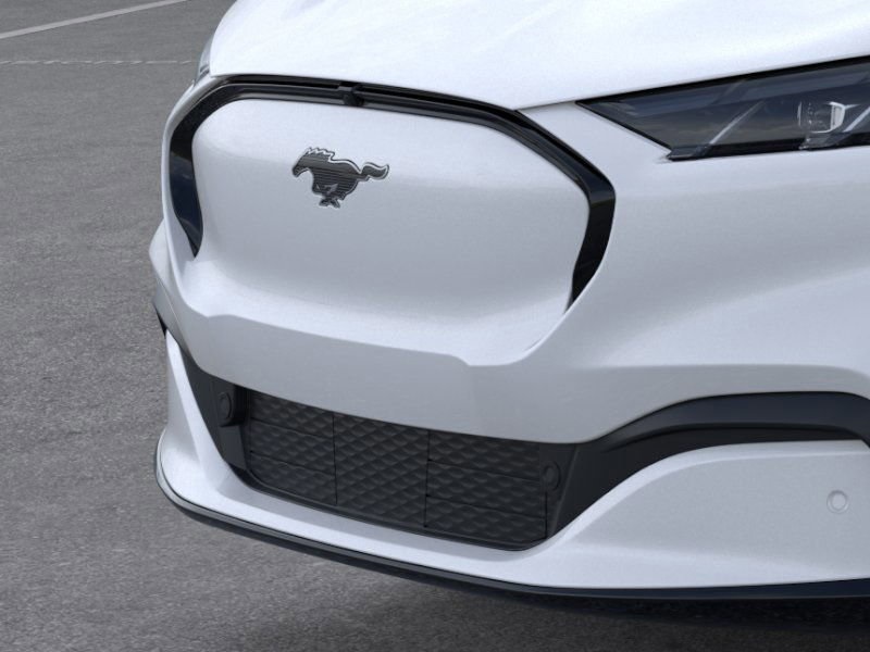 2025 Ford Mustang Mach-E Premium photo 16
