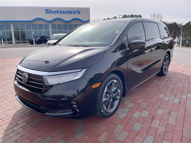 2024 Honda Odyssey Elite's photo