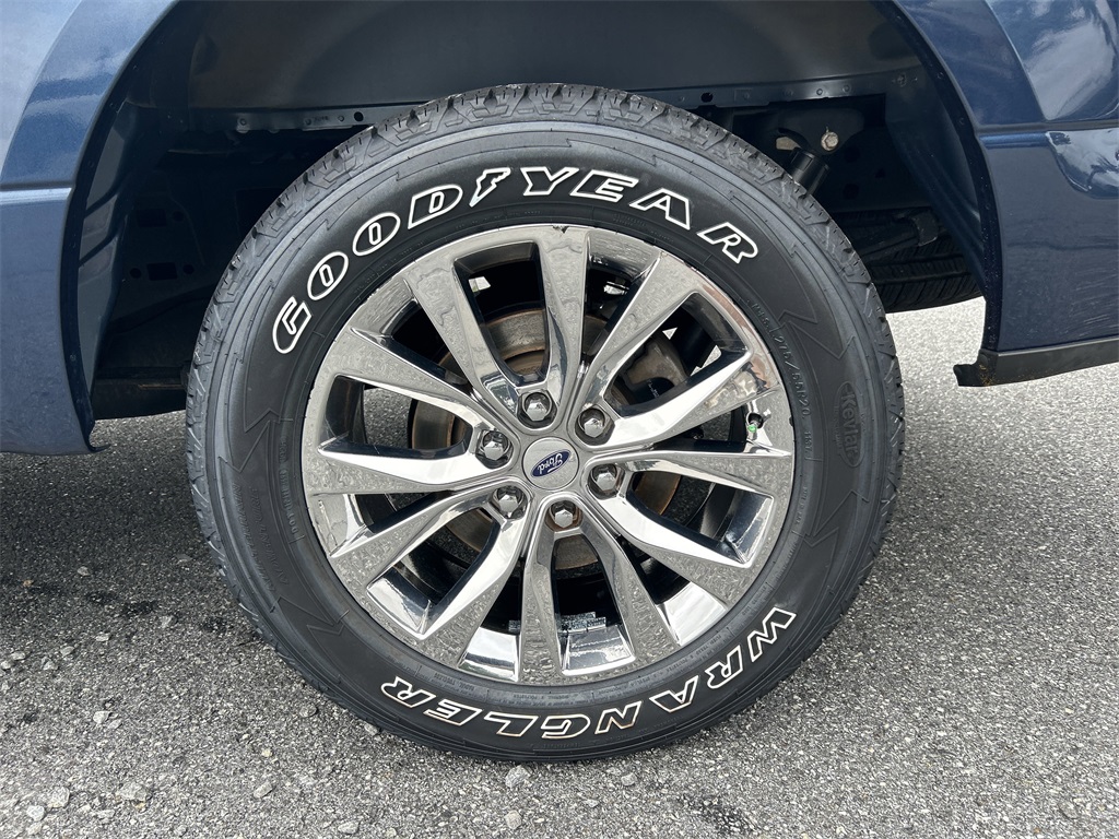 Image-19