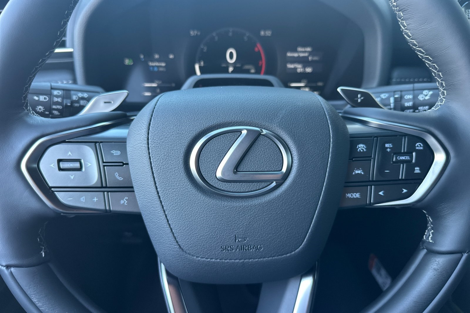 2025 Lexus LX 600 Luxury photo 19
