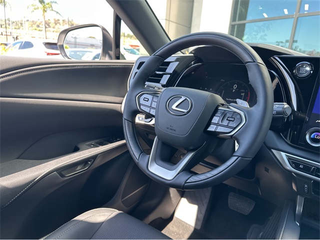 2025 Lexus RX 350 Premium photo 13