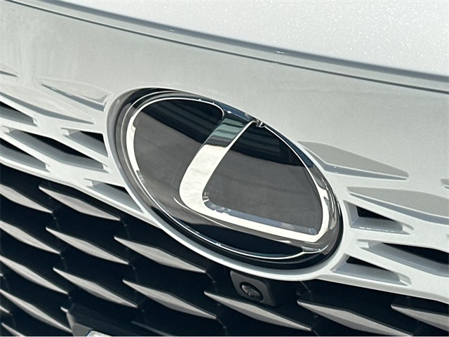 2025 Lexus RX 350 Premium photo 37