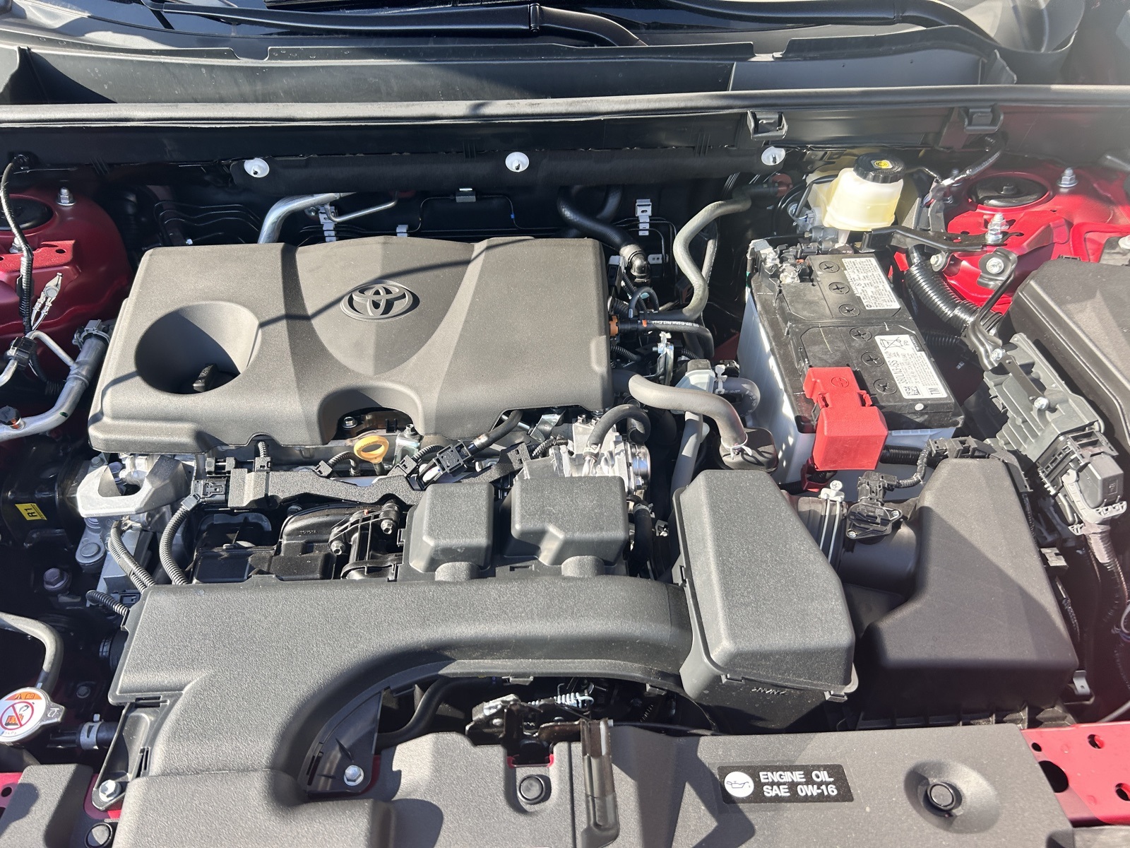 2025 Toyota RAV4 XLE Premium photo 5