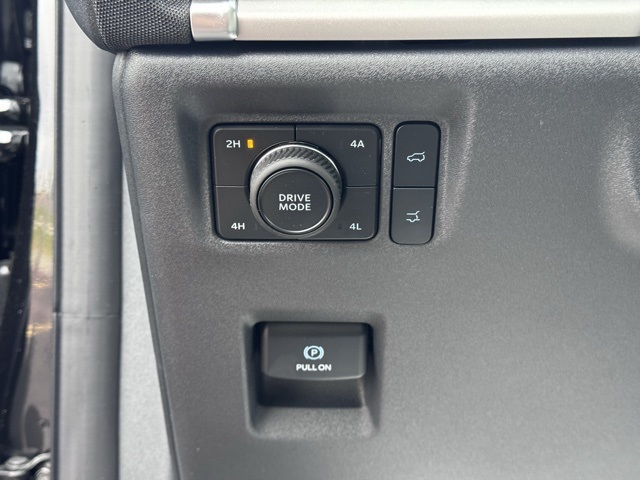 2025 Ford Expedition Active MAX