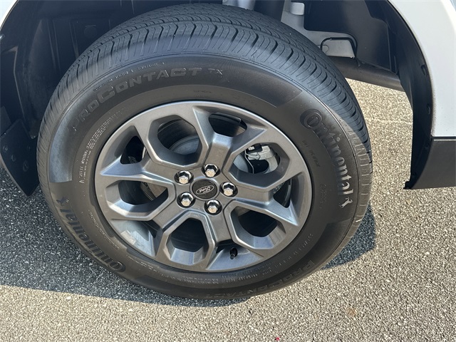Image-19