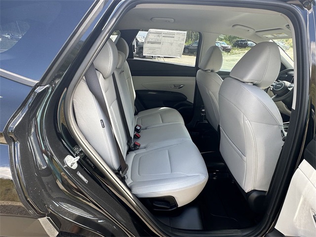 Image-15