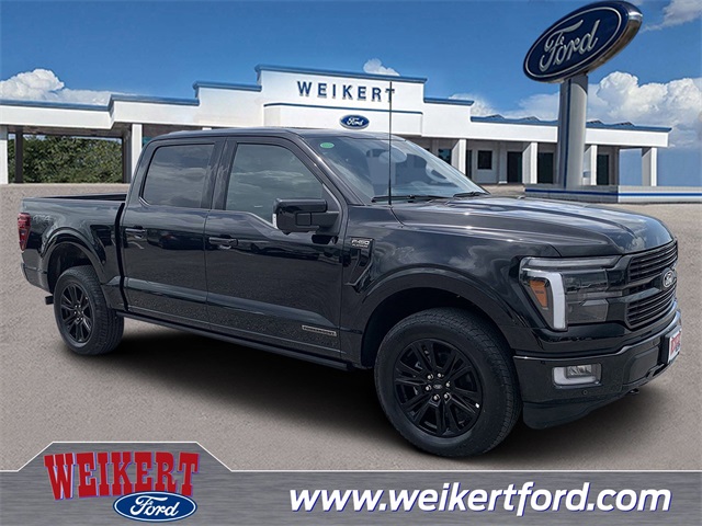 2025 Black Metallic Ford F-150 Platinum Truck