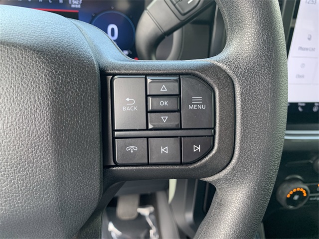 2024 Avalanche Gray Ford F-150 STX RWD Truck