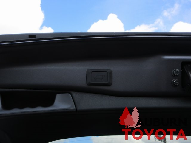 2025 Toyota RAV4 XLE Premium photo 4
