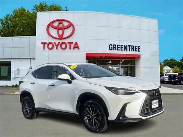 2022 Lexus NX 350's photo