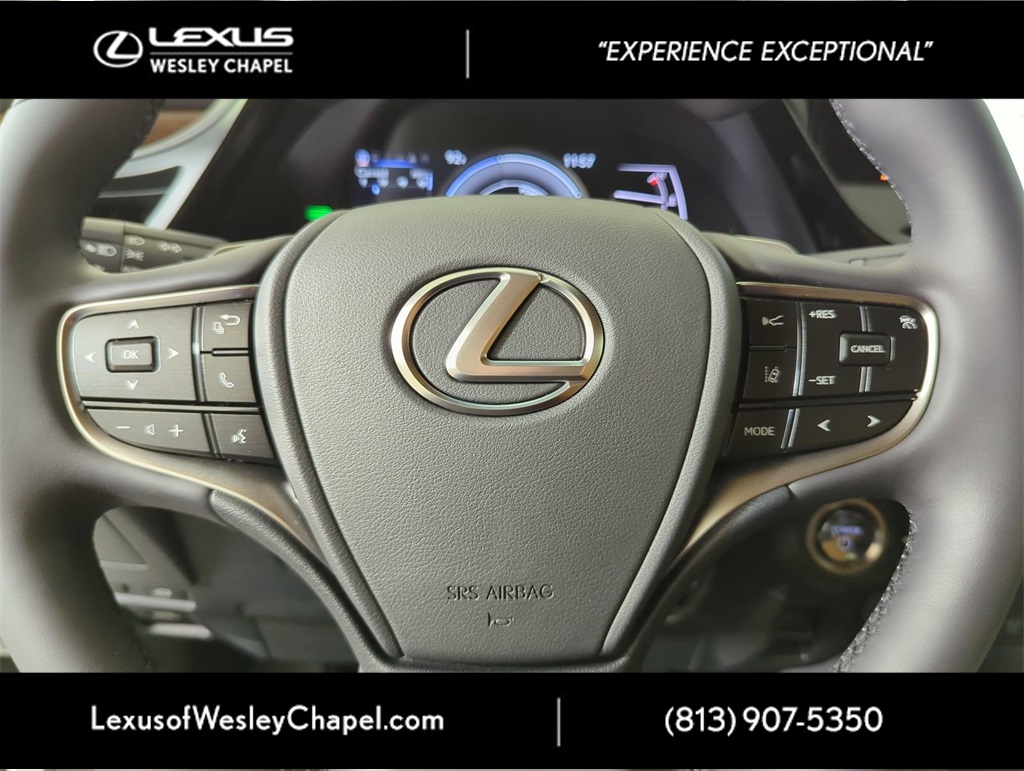 2025 Lexus ES 300h photo 16