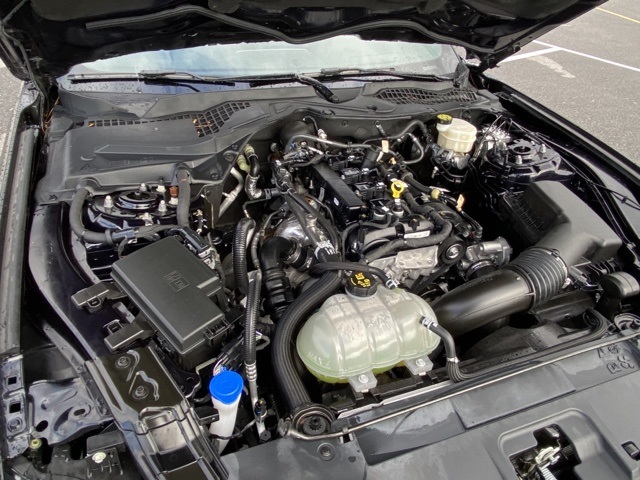 used 2021 Ford Mustang car, priced at $24,889