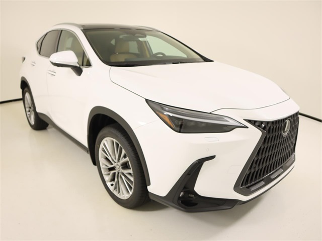 2026 Lexus NX 350 Luxury AWD photo 6