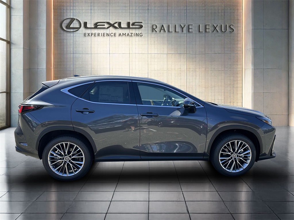 2025 Lexus NX 350 Premium AWD photo 2