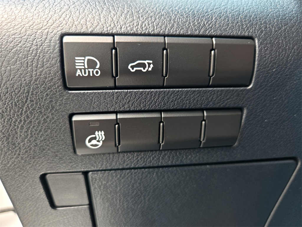 2018 Lexus RX 350L photo 25
