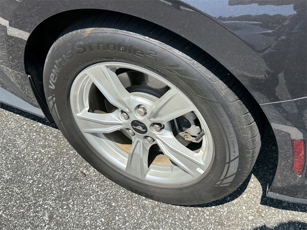 Image-7