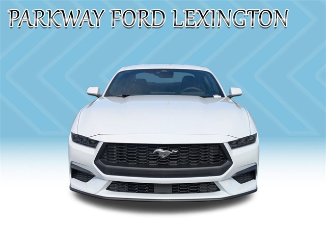 2025 Ford Mustang EcoBoost photo 2