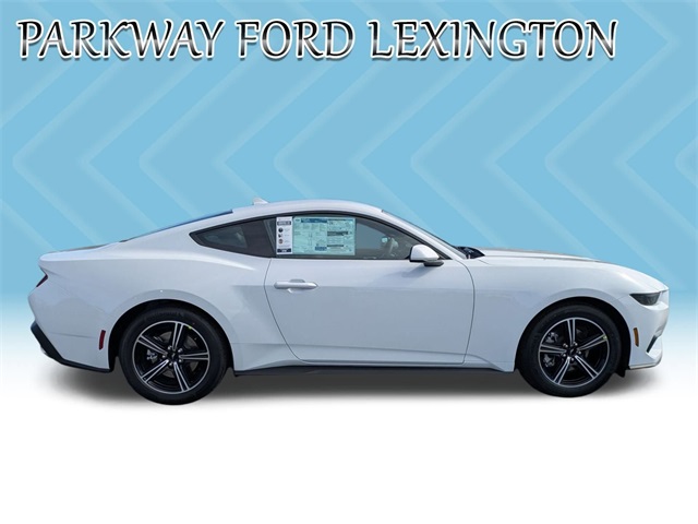 2025 Ford Mustang EcoBoost photo 4