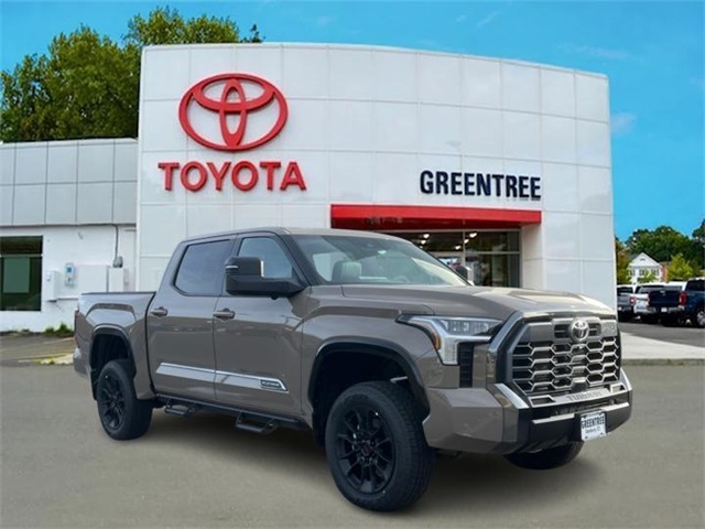 2026 Toyota Tundra Platinum's photo