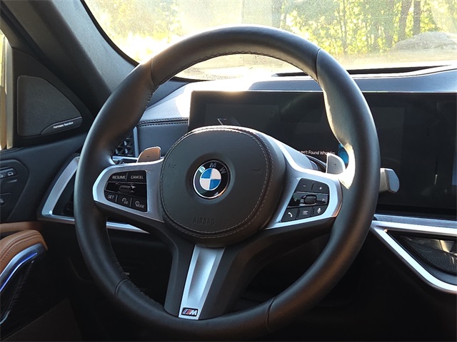 2025 Bmw X6 xDrive40i photo 13