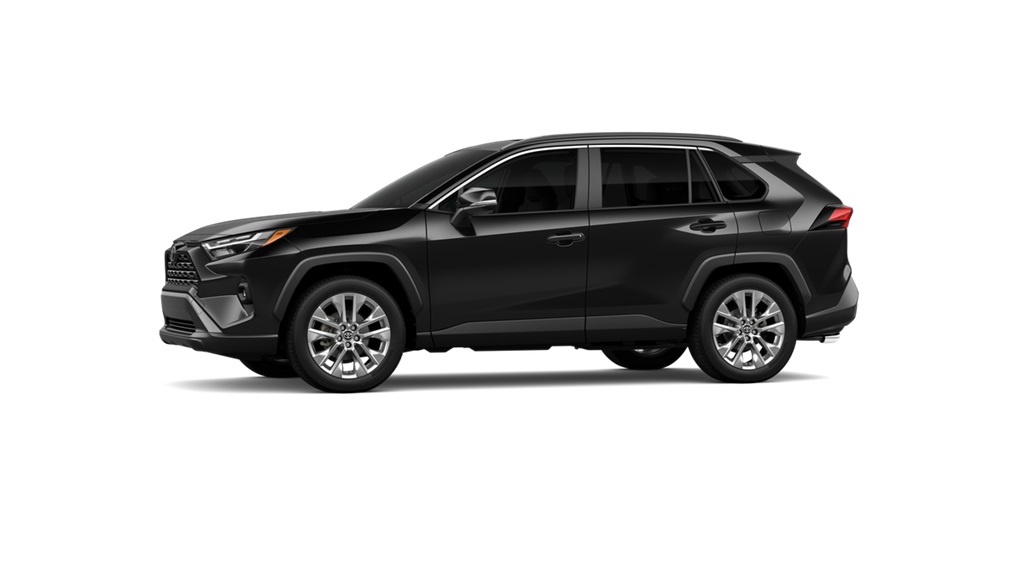 ★RIETI★ EVA RT 2015 C2 BLACK RT2015 C2 EVA RT2015 C2_Black
