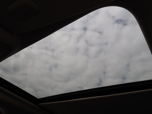 Image-11