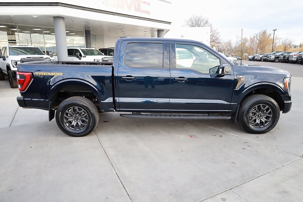 2023 Ford F-150 Tremor photo 4