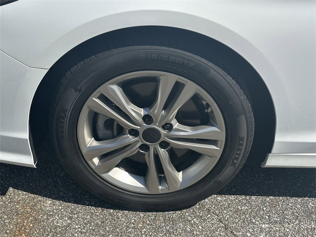 Image-11