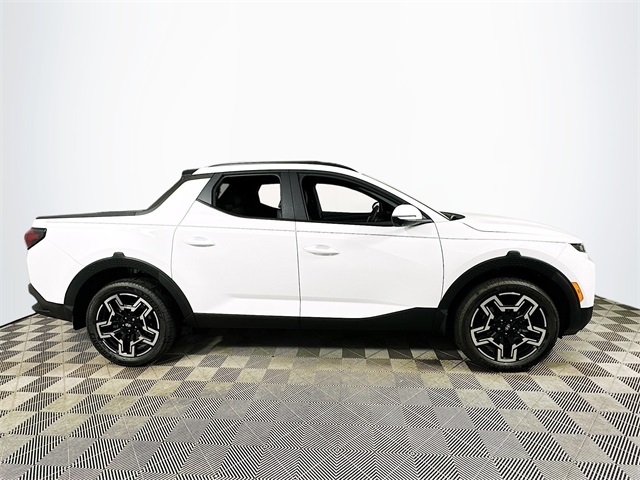 Santa Cruz Limited