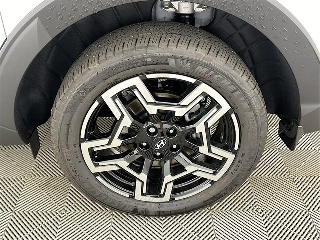 Santa Cruz Limited