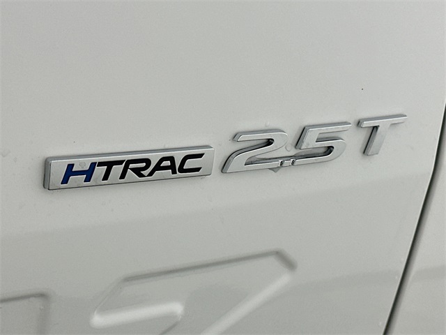 Santa Cruz Limited