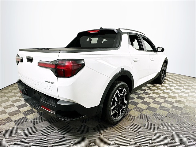 Santa Cruz Limited