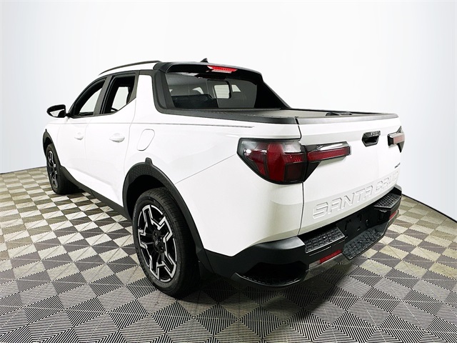 Santa Cruz Limited