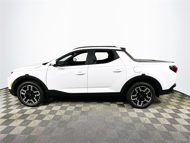 Santa Cruz Limited