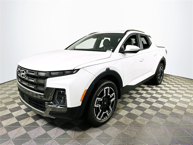 Santa Cruz Limited