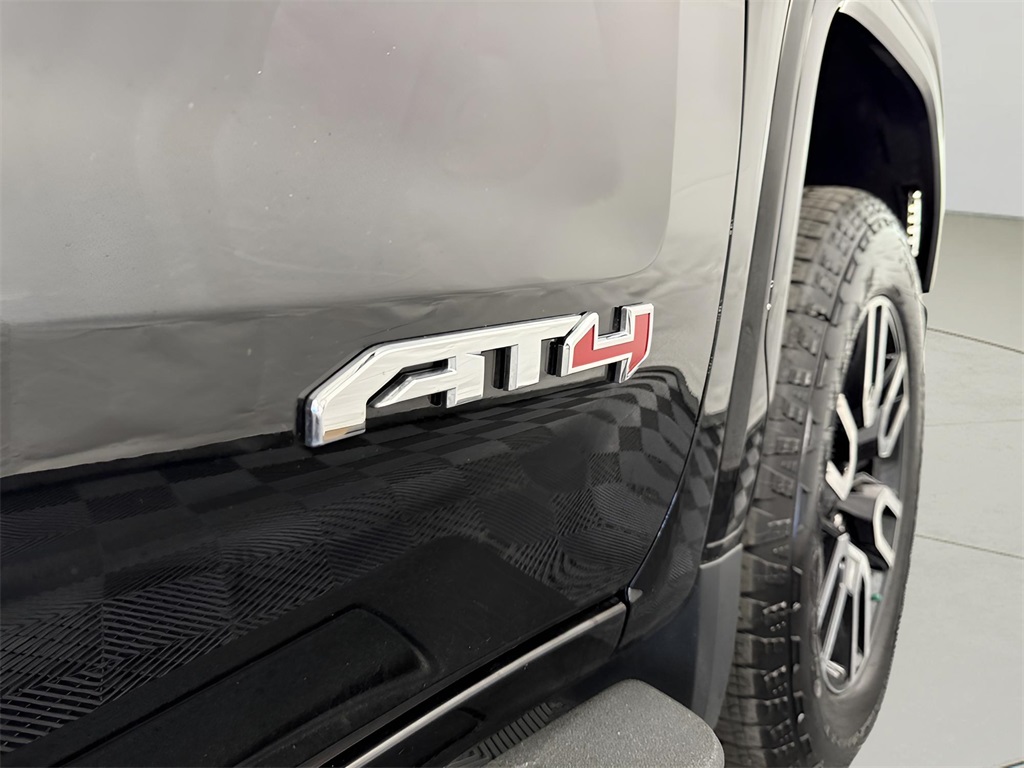 2024 Gmc Sierra 1500 AT4 photo 13