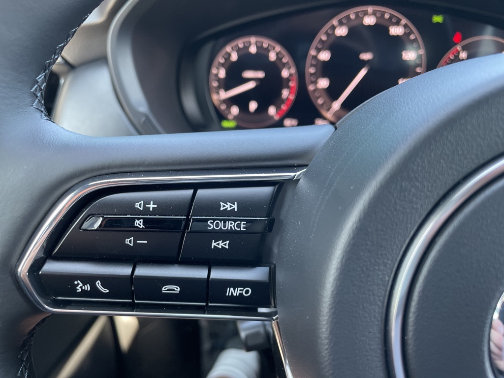 2025 Mazda CX-90 3.3 Turbo S Premium photo 20