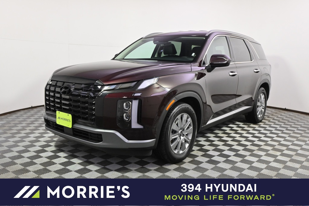 2025 Hyundai Palisade SEL's photo