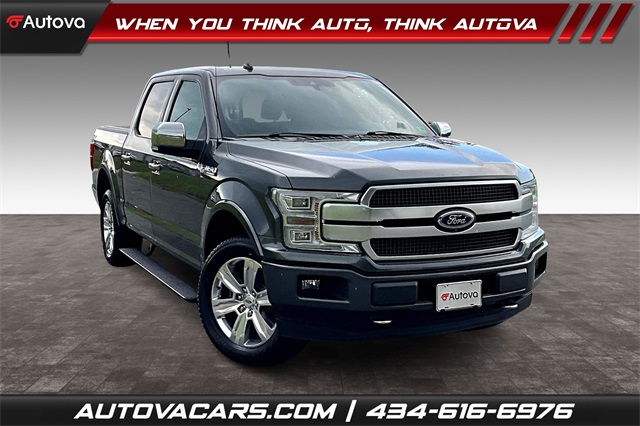 2019 Gray Ford F-150 Platinum Truck