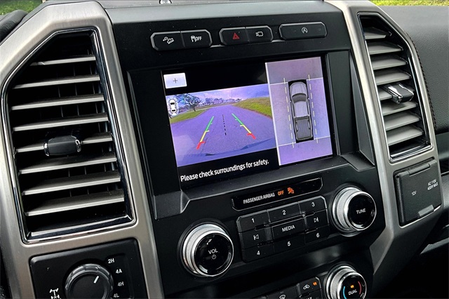 2019 Gray Ford F-150 Platinum 4X4 Truck