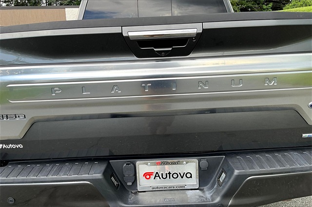 2019 Gray Ford F-150 Platinum 4X4 Truck