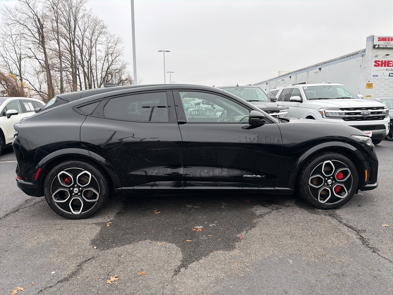 2021 Ford Mustang Mach-E GT photo 2