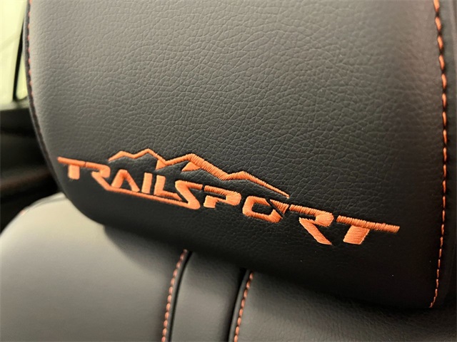 2025 Honda Pilot TrailSport photo 25
