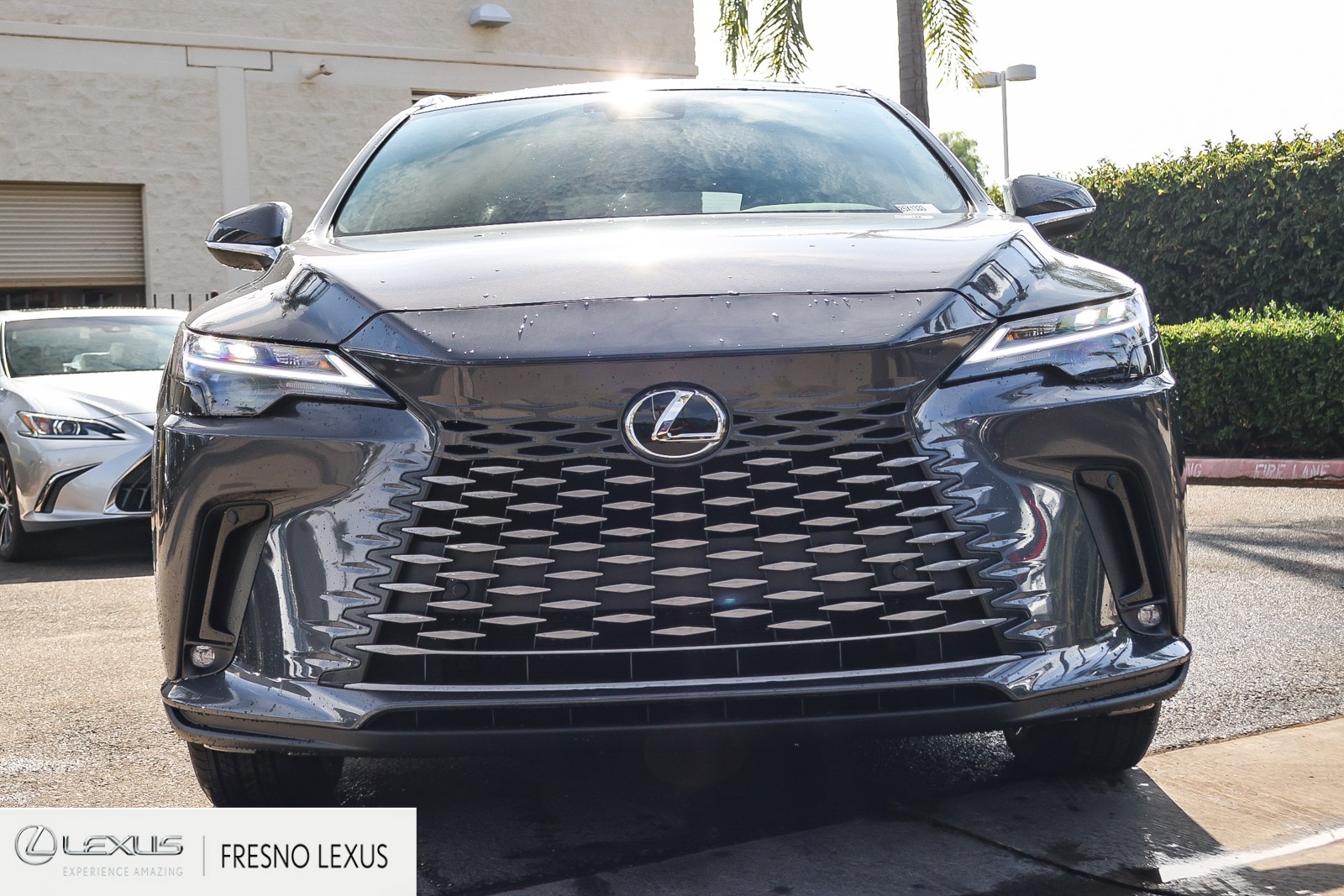 2025 Lexus RX 350 photo 2