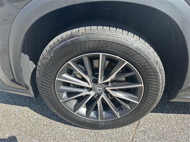 Image-11