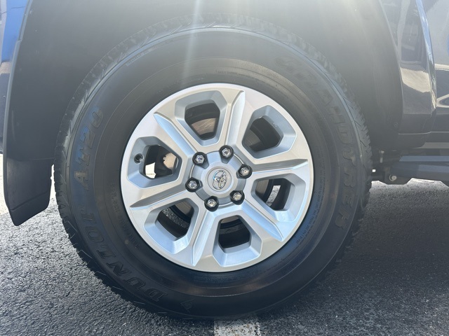 2024 Blue Toyota 4Runner SR5 Premium 4X4 SUV