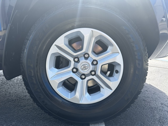 2024 Blue Toyota 4Runner SR5 Premium 4X4 SUV