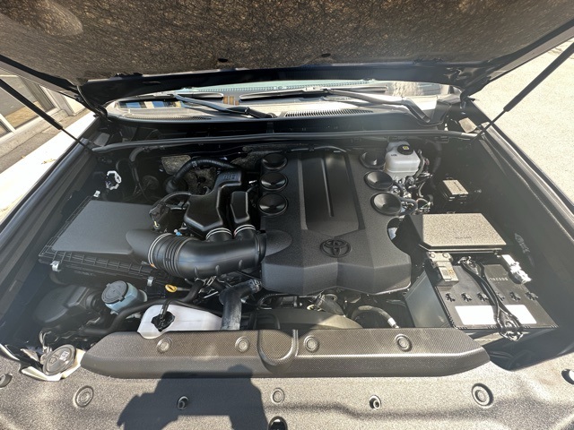 2024 Blue Toyota 4Runner SR5 Premium 4X4 SUV
