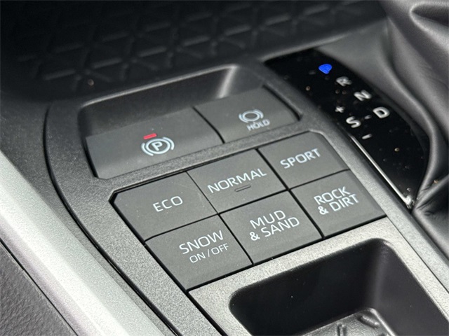 2025 Toyota RAV4 XLE photo 20